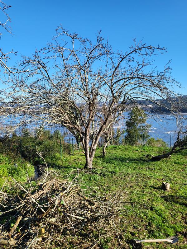 Ouvrir la fenêtre modale de l'avis 1 sur 4