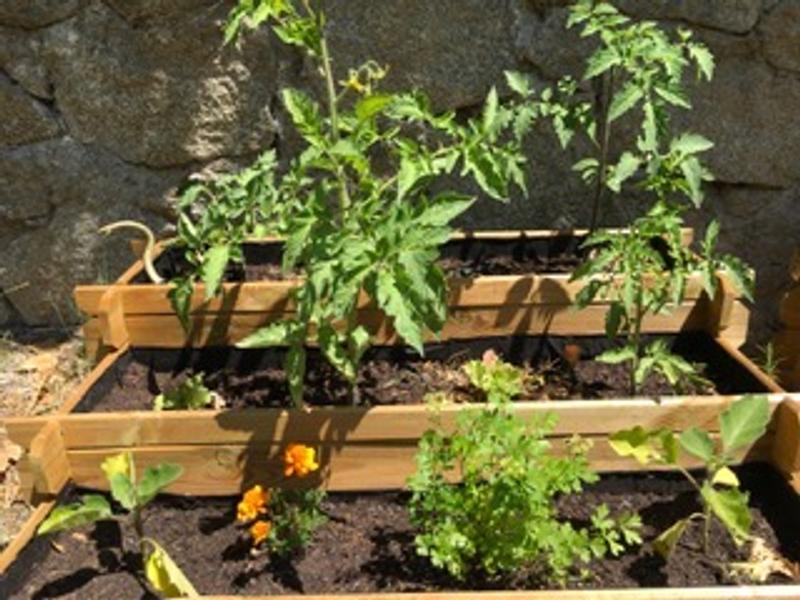 Abra o modal de avaliação 2 de 3