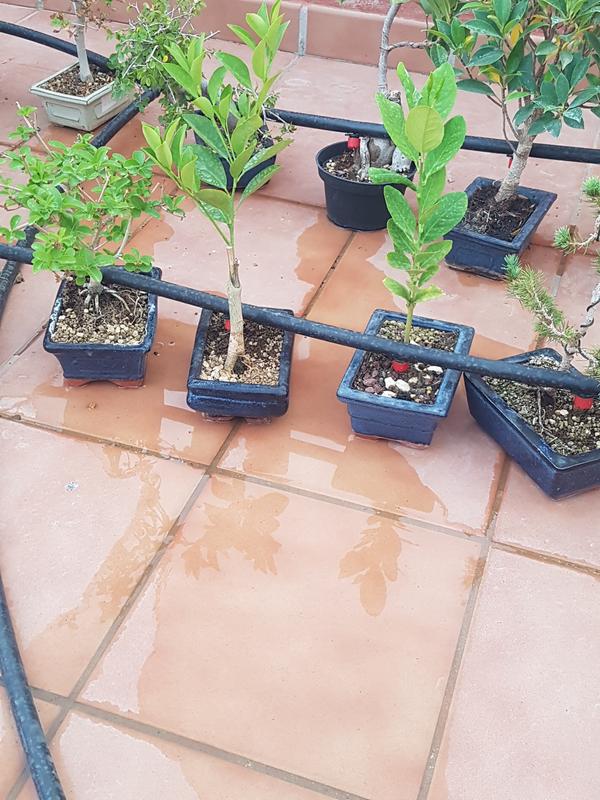 Abrir modal de revisión 3 de 3