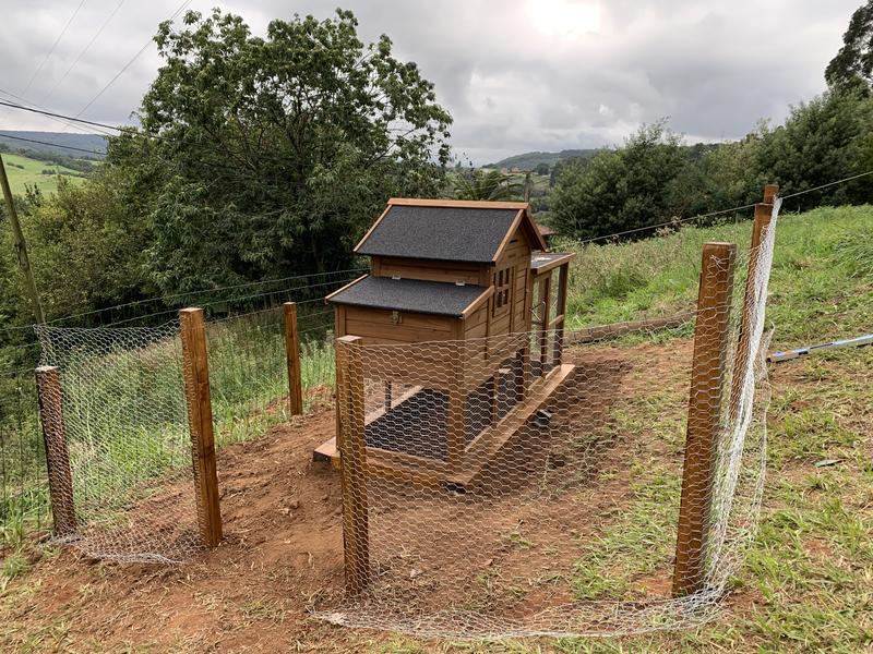 Abrir modal de revisión 1 de 1