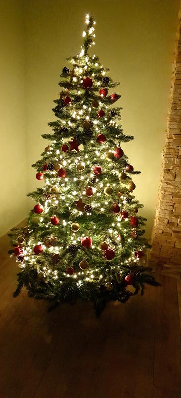 Abrir modal de revisión 1 de 1