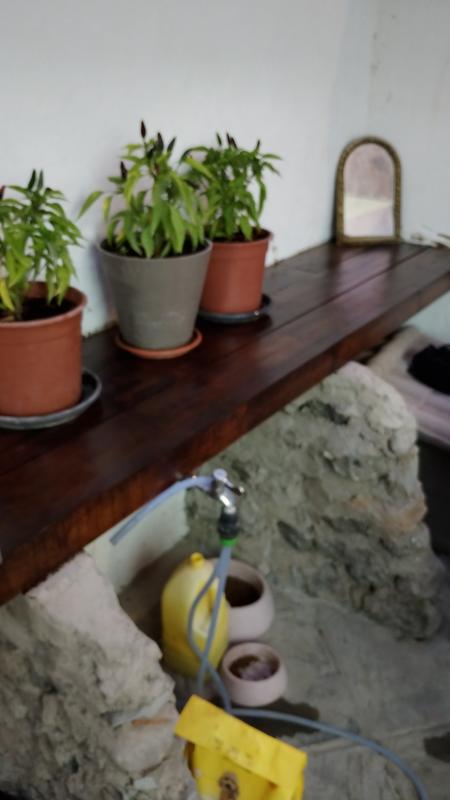 Abrir modal de revisión 1 de 1