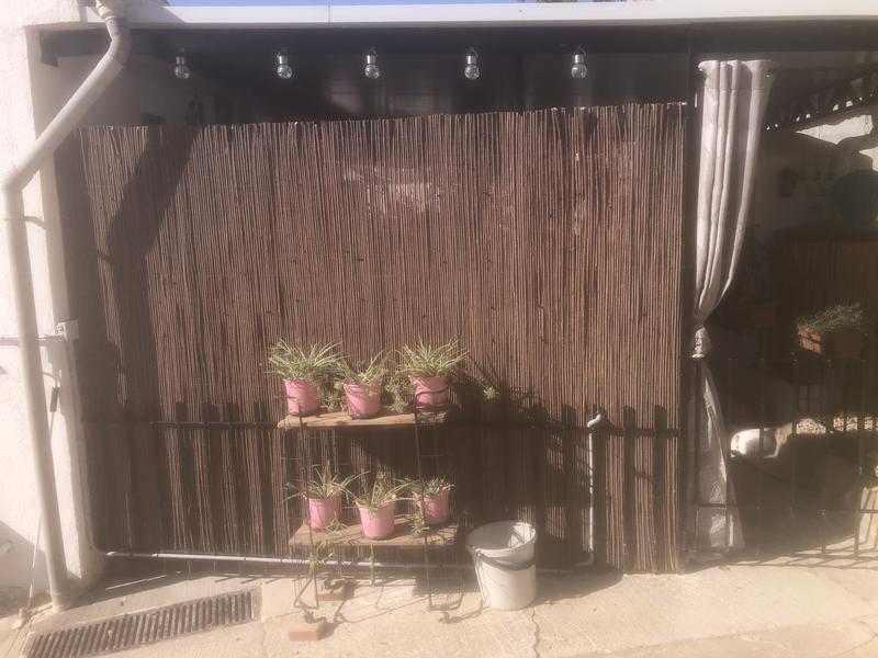 Revisione aperta modale 1 su 1