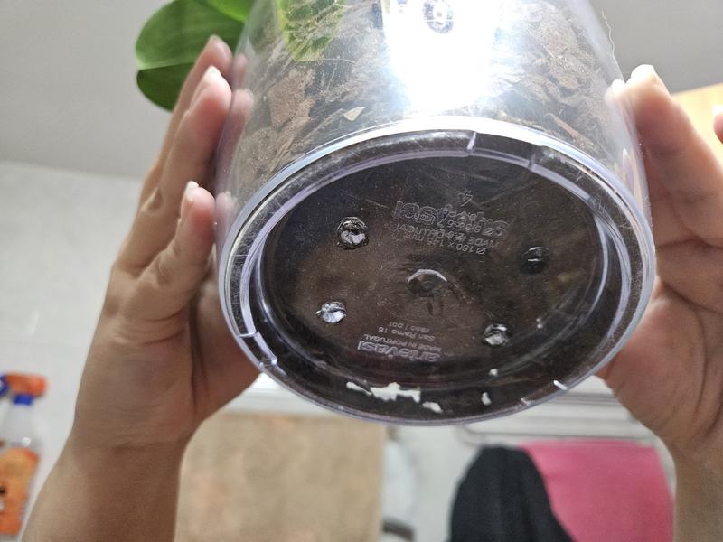 Abrir modal de revisión 1 de 2