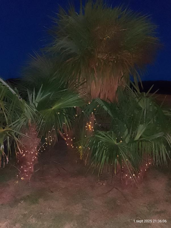 Abrir modal de revisión 1 de 1