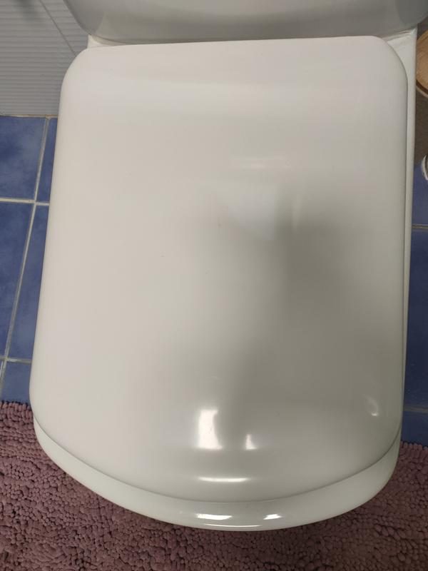 Tapa WC Compatible DIANA GALA - Bisagra Ajustable - Fácil Instalación y  Limpieza - Asiento Inodoro Muy Resistente - Blanco - 42 x 34 x 4,5 cm