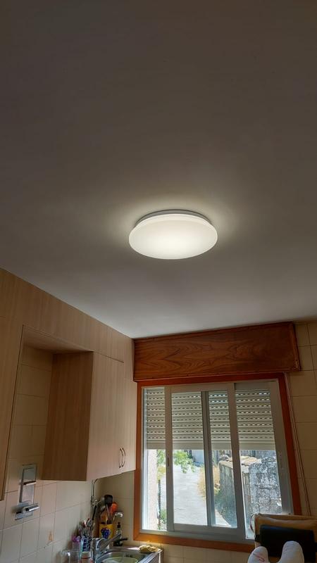 Abrir modal de revisión 1 de 1