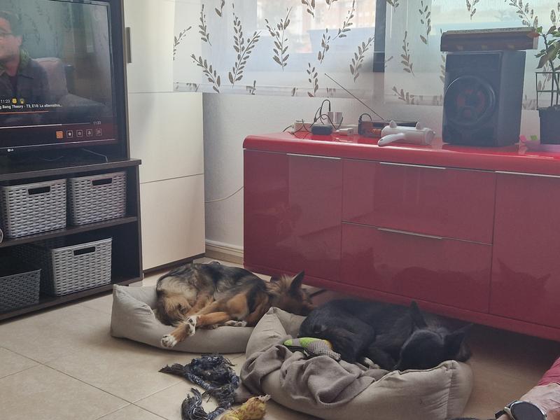 Abrir modal de revisión 1 de 1