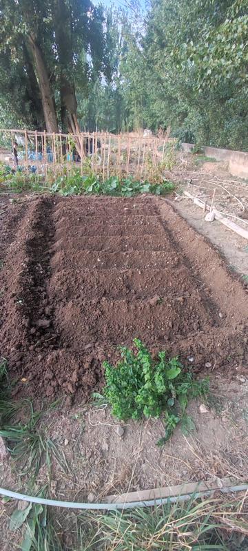 Abra o modal de avaliação 1 de 1