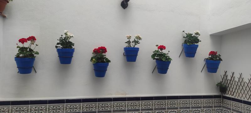 Abrir modal de revisión 1 de 1