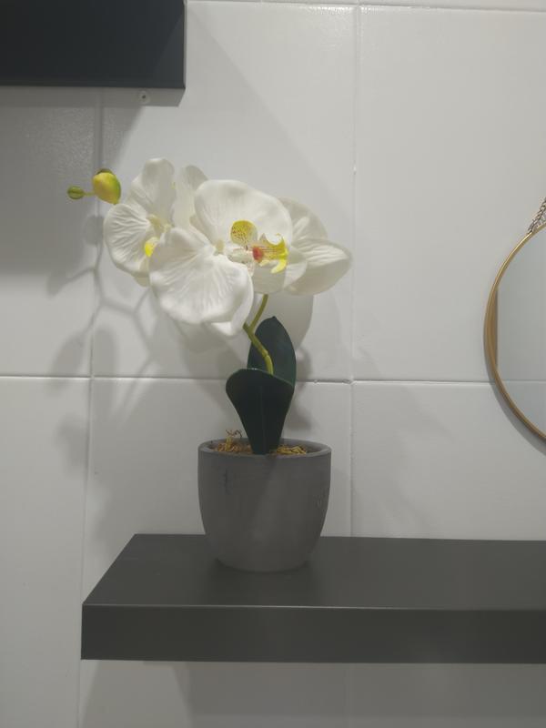 Abrir modal de revisión 1 de 1