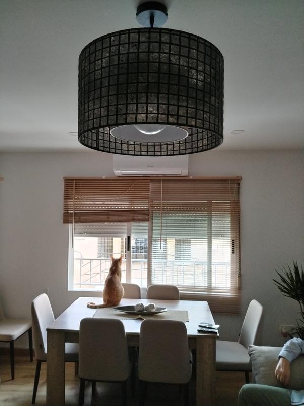 Abrir modal de revisión 1 de 1