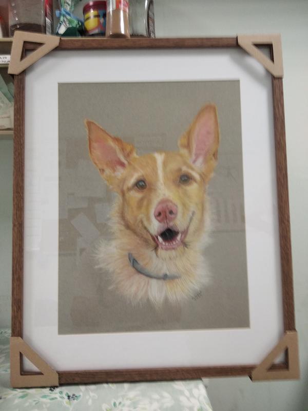 Abra o modal de avaliação 1 de 1