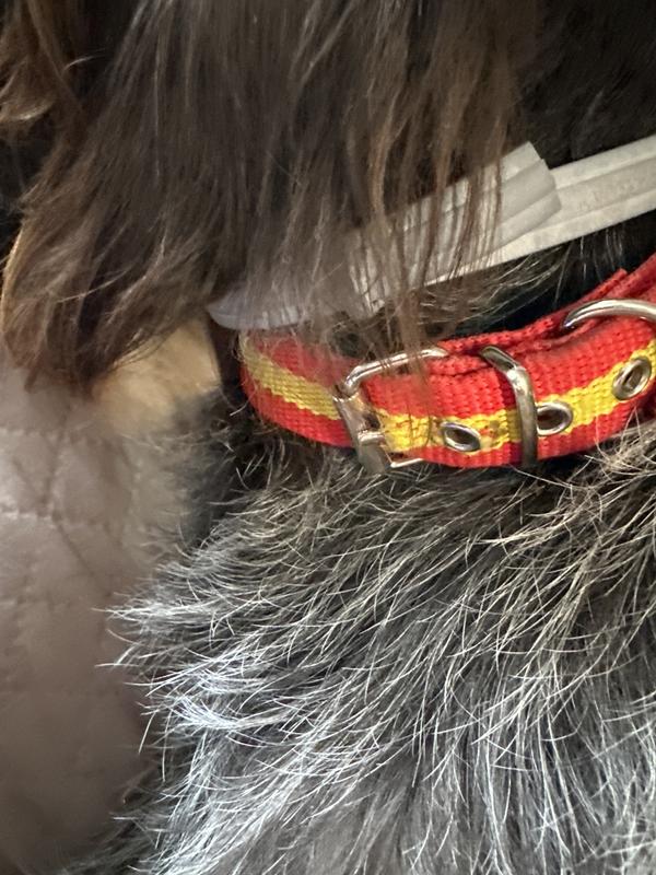 Abra o modal de avaliação 1 de 1