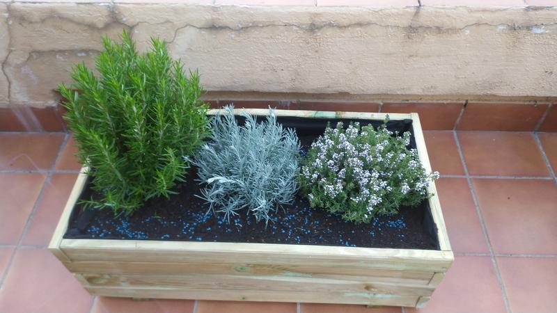 Abra o modal de avaliação 1 de 2