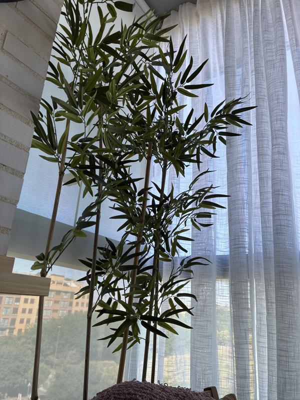 Abrir modal de revisión 1 de 2