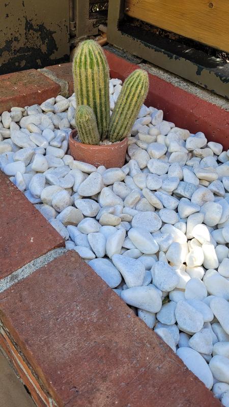 Abrir modal de revisión 1 de 1