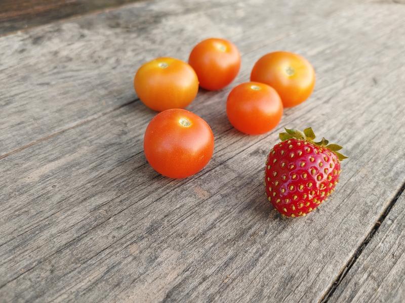 Abra o modal de avaliação 2 de 2