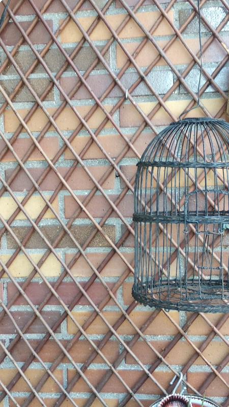 Abra o modal de avaliação 2 de 2