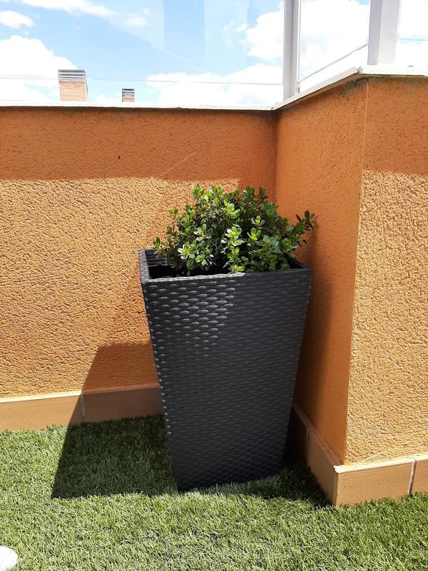 Abrir modal de revisión 2 de 2