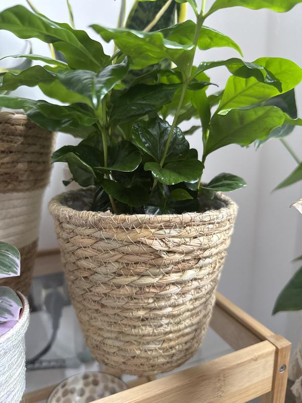 Abra o modal de avaliação 1 de 1