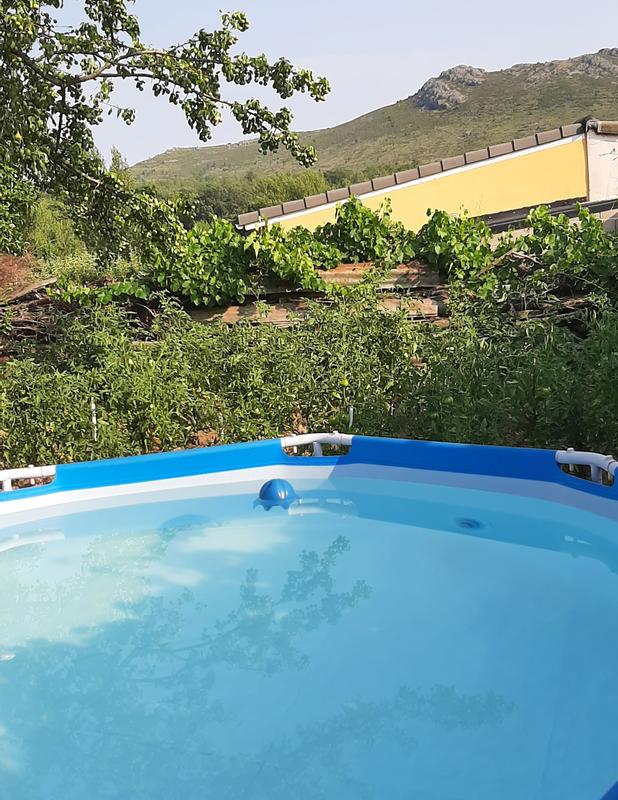 Abra o modal de avaliação 1 de 1