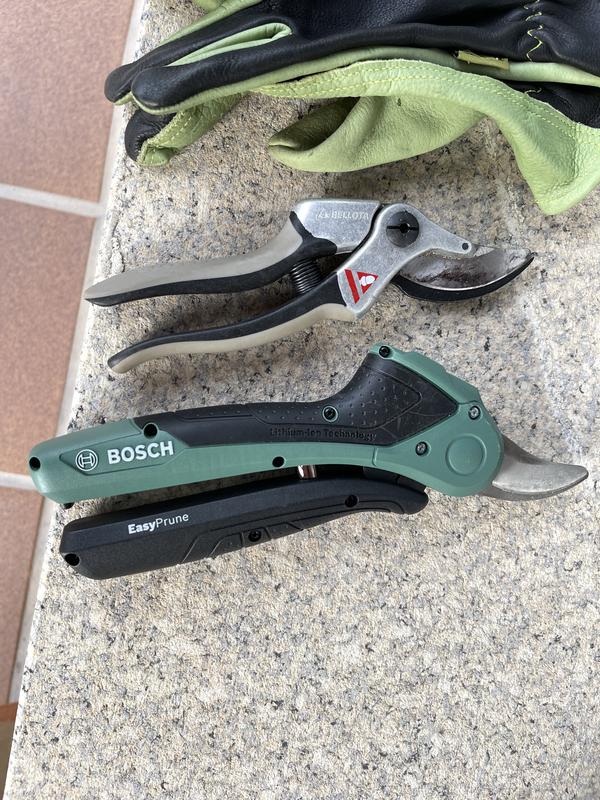 Revisione aperta modale 1 su 1