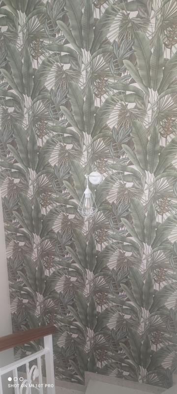 Otwórz okno opinii 1 na stronie 1