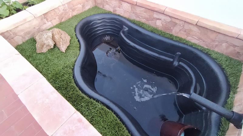 Abrir modal de revisión 1 de 2