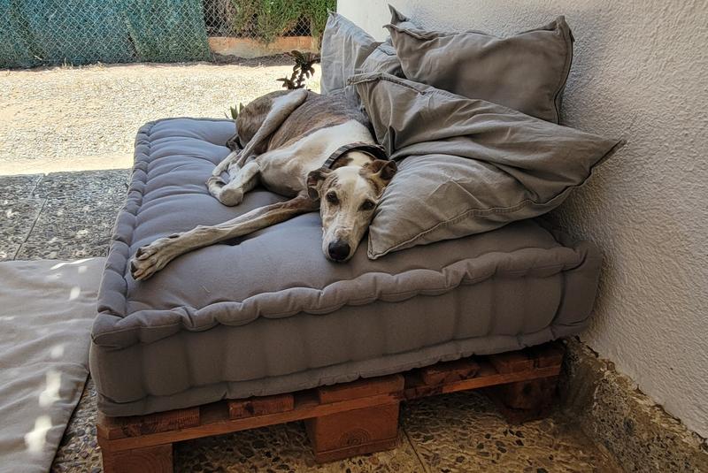 Abrir modal de revisión 1 de 1