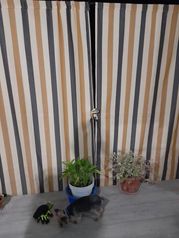 Abrir modal de revisión 1 de 1