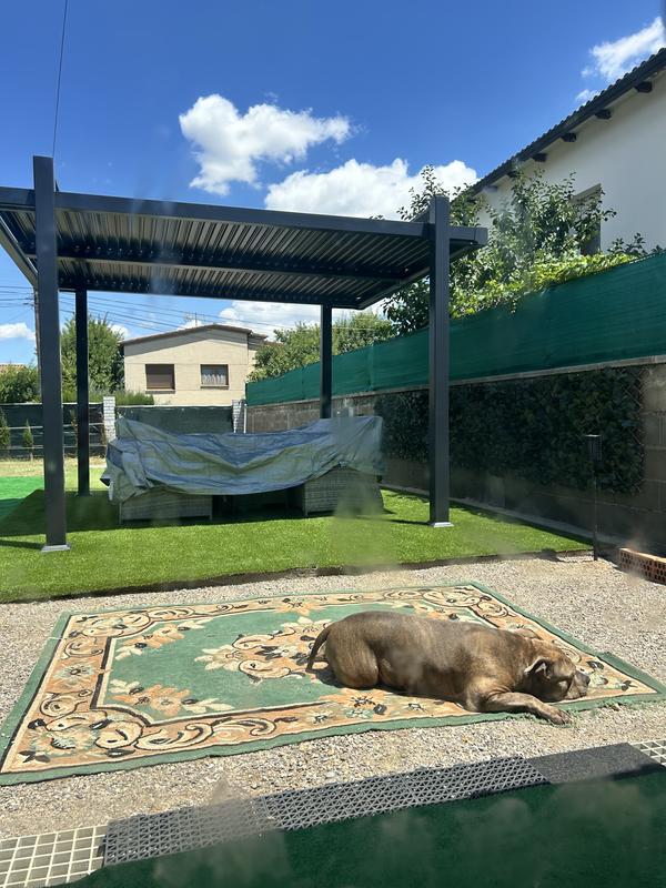 Abra o modal de avaliação 1 de 1