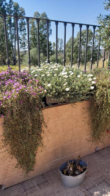 Abrir modal de revisión 2 de 2