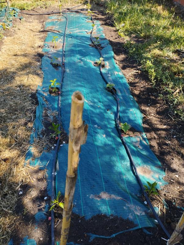 Revisione aperta modale 1 su 1