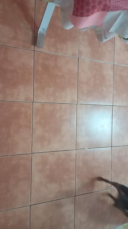 Abrir modal de revisión 1 de 1