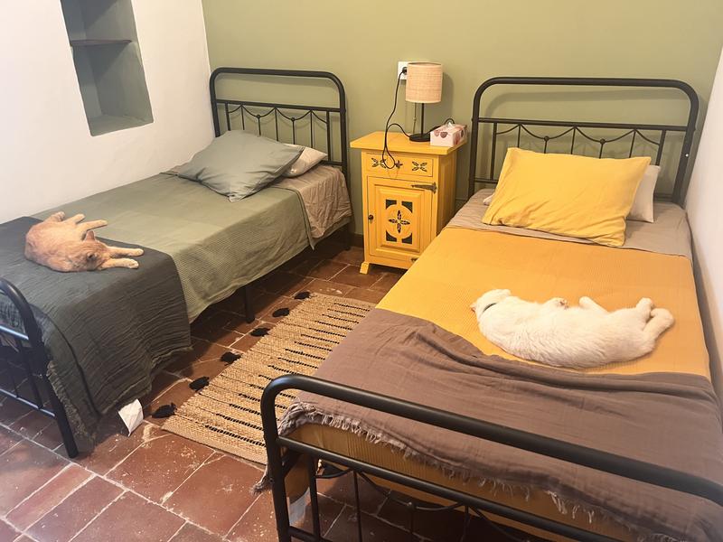 Abra o modal de avaliação 1 de 1