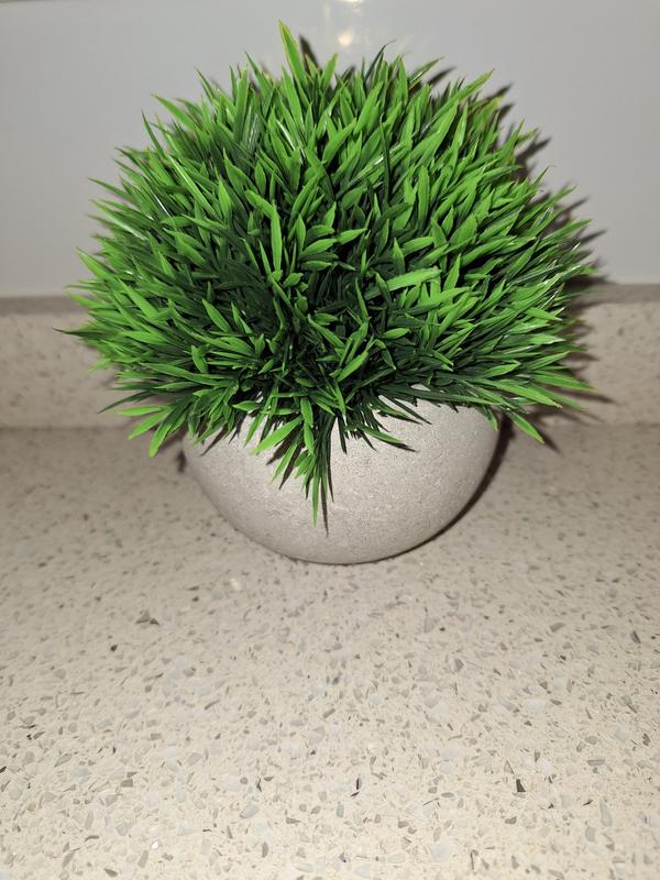 Abrir modal de revisión 1 de 1