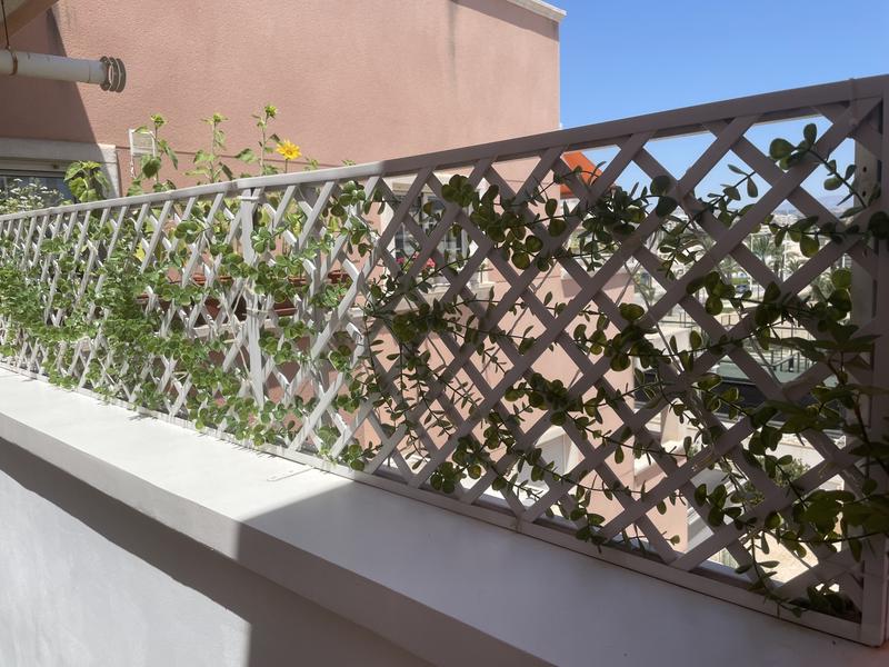 Abrir modal de revisión 1 de 2