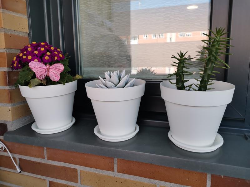 Abrir modal de revisión 2 de 2