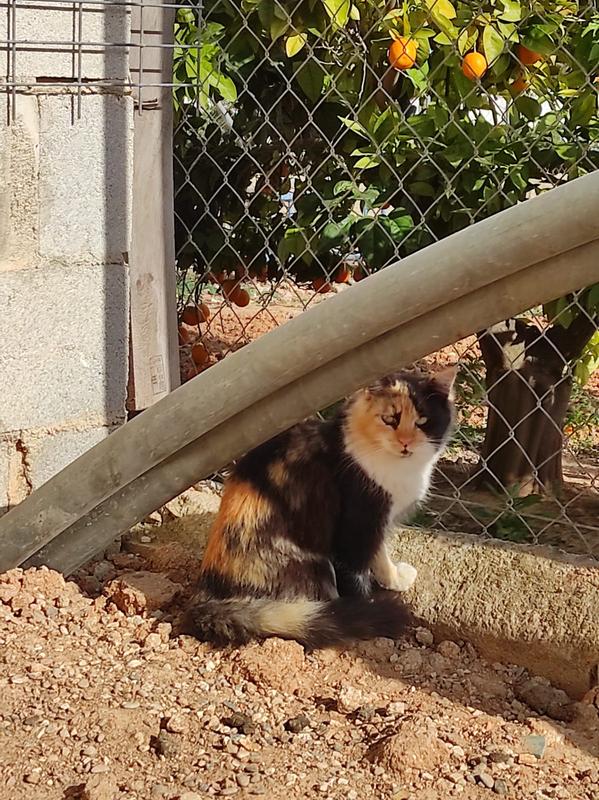 Abrir modal de revisión 1 de 1