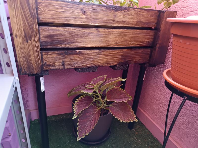 Abrir modal de revisión 2 de 3