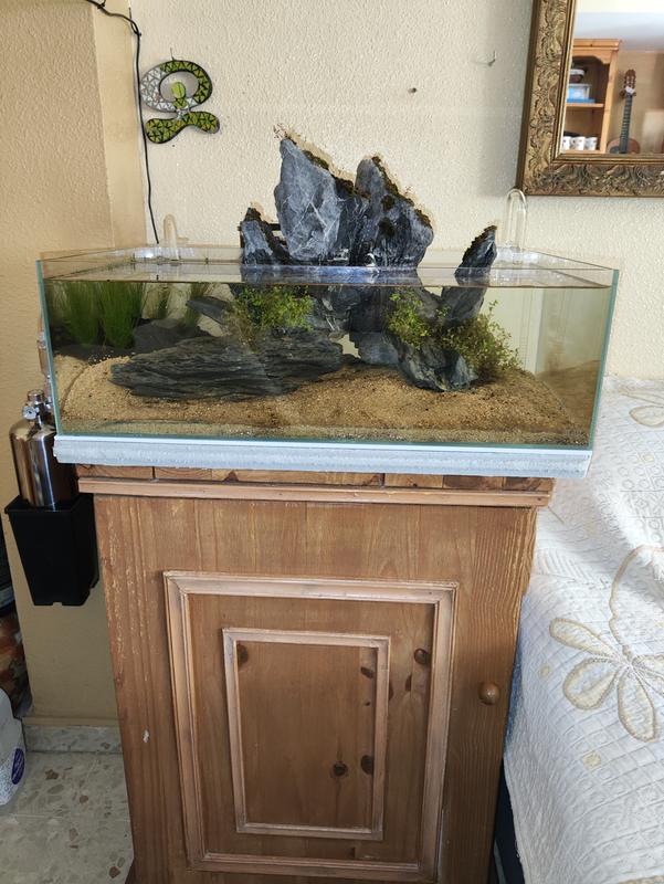 Abra o modal de avaliação 3 de 3