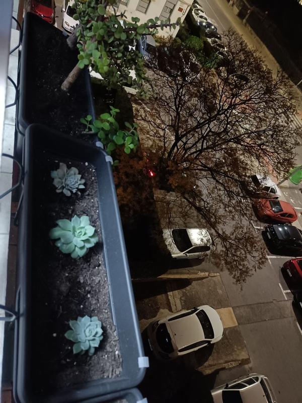 Abrir modal de revisión 2 de 2