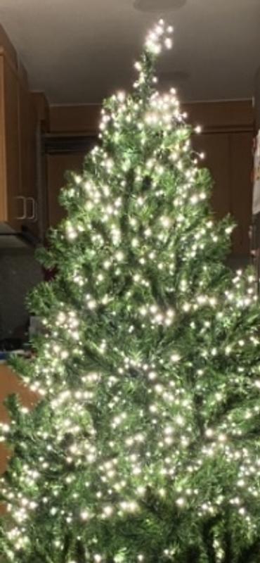 Abrir modal de revisión 1 de 1