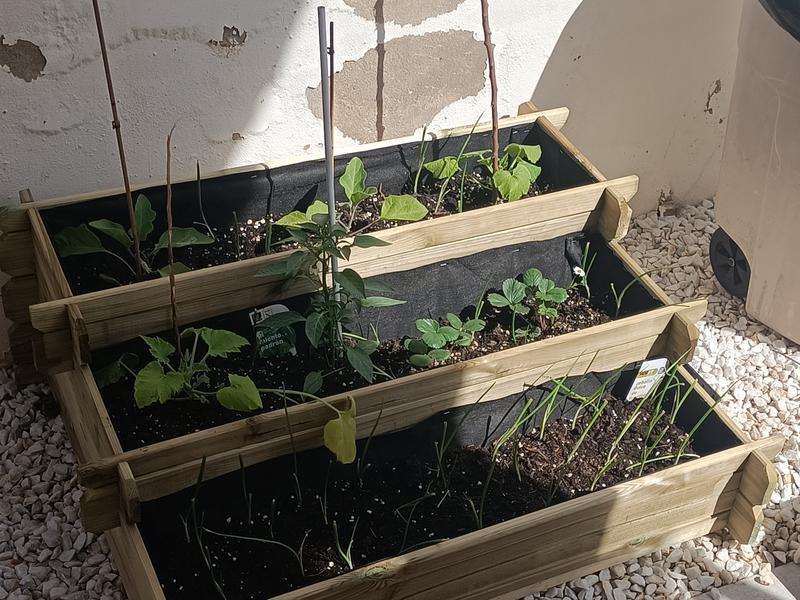 Abra o modal de avaliação 1 de 1