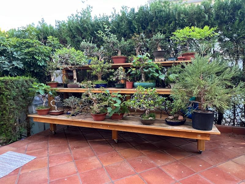 Ouvrir la fenêtre modale de l'avis 2 sur 2