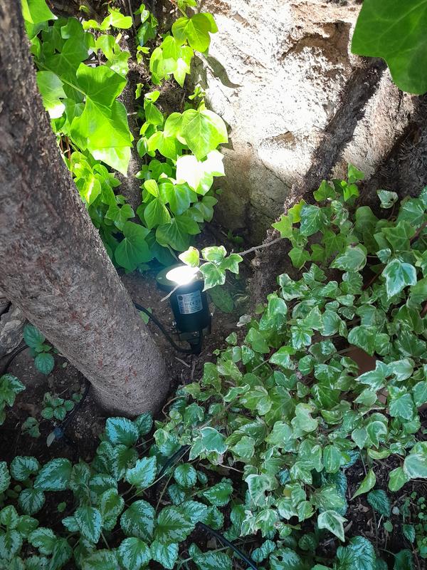 Ouvrir la fenêtre modale de l'avis 1 sur 1