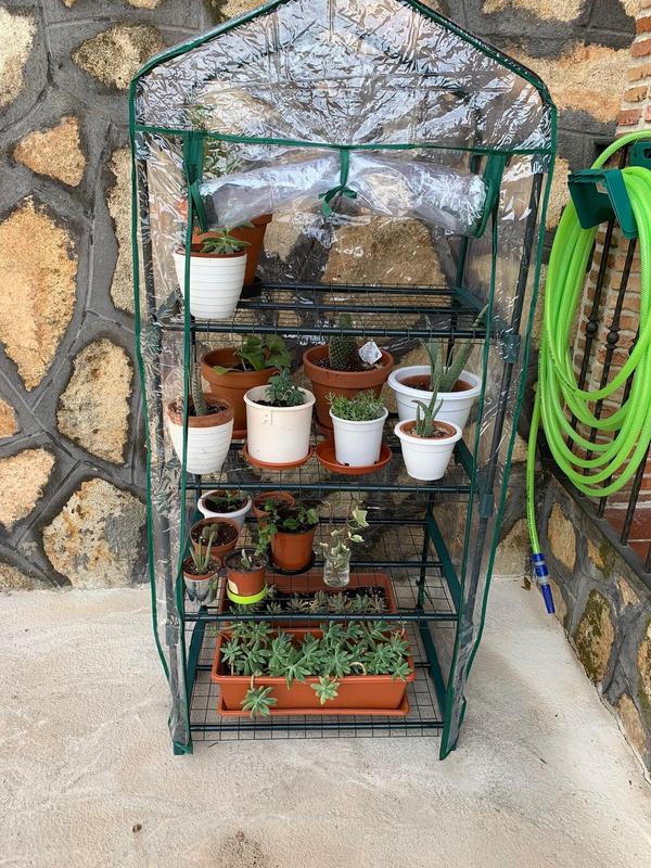 Abrir modal de revisión 2 de 2