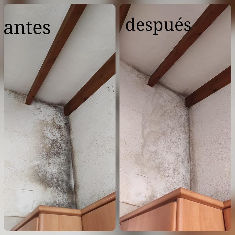 Limpiador fungicida Antimoho Bruguer para techos y paredes