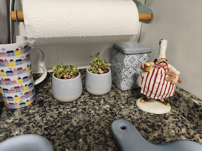 Revisione aperta modale 1 su 1